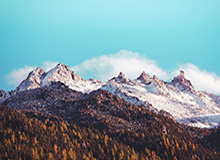 AL次局集锦：纳亚菲利团战游龙完美发挥，AL强势扳回一城